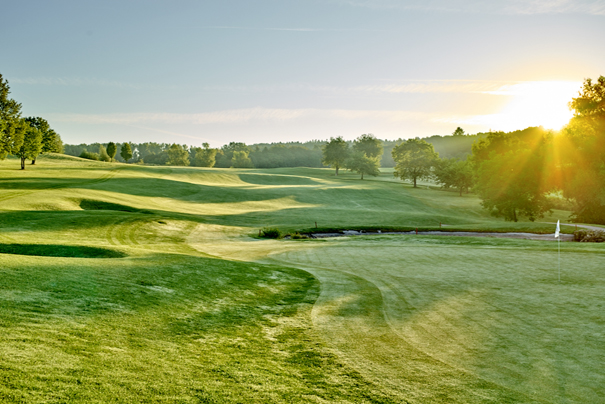 Estate Golf Day