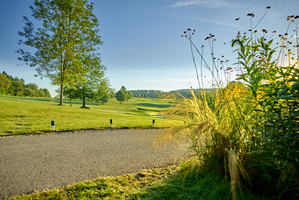 Golf Total im Frühling