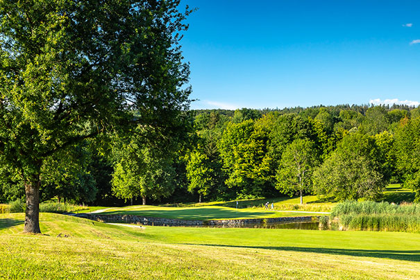 Ryder Cup Germany - Switzerland