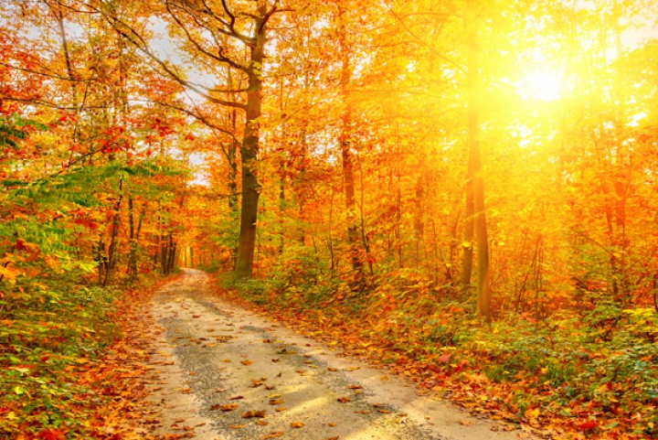 Herbstzeit Herbstzeit