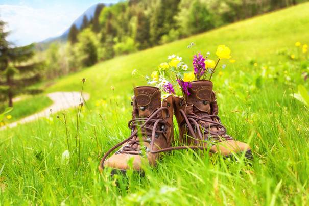 Uttlauer Wandertag Uttlauer Wandertag