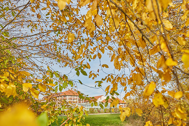 Herbstzeit Herbstzeit